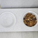 홍천 개아빠 이미지