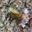 화개4길 이미지