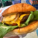 텐버거 - 구로구 디지털로33길 12 | [군포 산본 텐버거] 수제버거 맛집: 100% 수제 소고기 패티! 텐버거 먹어본 솔직 후기