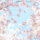 오늘제빵소 - 구리시 | 오늘제빵소