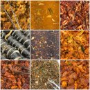 초원애한식뷔페 | 경산 한식 맛집 일인 만원 초원애 한식뷔페