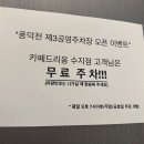 오쏠레 | 용인 수지 카페드리옹 딸기 밀푀유 맛집 후기｜디저트·라떼 추천 ⭐