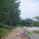 카페스라 이미지
