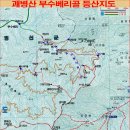중골우 Daum카페