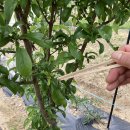 단이농장 이미지