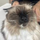 히어로동물병원 이미지