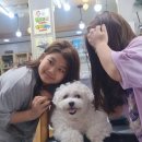 주 헤어샵 | 대구 비산동 가성비 좋고 실력 좋은 내돈내산 도러시 헤어샵에서 염색 후기입니다.