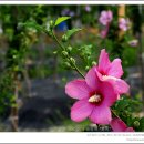 이동철농장 이미지