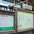 느티마을길 이미지