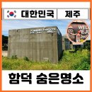 제주 함덕 김택화 미술관 카페 숨은 명소 발견 동쪽 여행 코스 실내 전시 추천 찐후기