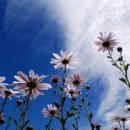 시월이네 이미지