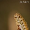 햇살누리요양센터 네이버블로그