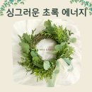 책 속 소품 만들기 | 교육지원청 학부모 연수, 유칼립투스 여름 리스 만들기, 그림책 원예 테라피 수업