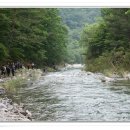 은산1리마을회관 이미지