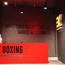 EX  BOXING 이미지