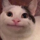 잘잘한의원 이미지