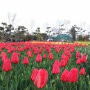 개포3-106 이미지