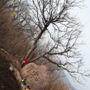 용호축사 이미지