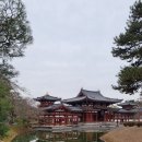 일본간사이배낭여행- 교토 뵤됴인,니조조,귀무덤을 가다2 이미지