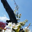 은한농장 이미지