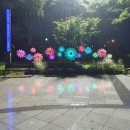 서민플라워 네이버블로그