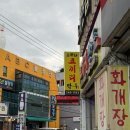 수경 수제만두 경북본점 | [포항•영일대맛집]속이 꽉 찬 수제만두맛집 “코끼리만두” 본점 이용•포장 후기