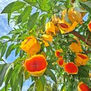 성호농장 이미지