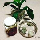 위드씨샵 | 수제과일청 선물 포천 위드씨샵에서~