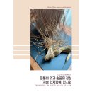 성남시청 누리홀 이미지