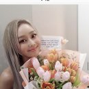 달빛꽃담