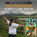 (주)서번트리더스투어 | [제주도 2박3일 여행 2일차]코난비치 스노쿨링, 반잠수정, 우동카덴까지 갓벽했던 북쪽&동쪽 코스🧡