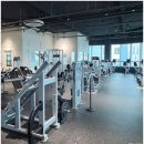 머슬피플 피트니스 | 체험으로 방문했다가 인상 남았던 청라 헬스장 머슬피플 피트니스 후기