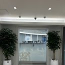 eye #3 서울 강남 닥터아이씨엘안과 검안 후기 (렌즈삽입술)
