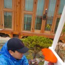 웅지와 나옹이 이미지