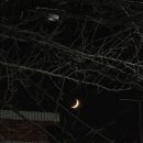 11500-6-11-04 | [주간일기 11-04] 마지막 가을 즐기기! 다시 찾아온 겨울