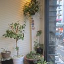 클라라헤어샵 이미지