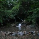 운문산자연휴양림 이미지