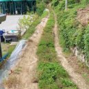 도안면사무소 이미지