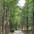 양재천근린공원 이미지