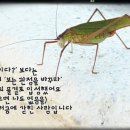 풍류당