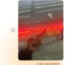 한우번식장 | 5월 첫째 주 연휴 일기_놀고 먹고 봉사하고