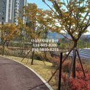 판교하나공인중개사사무소 이미지