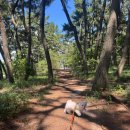 또와펜션 | [강아지 일기] 연또와 함께하는 태안 여름휴가(펜캉스)