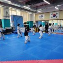 무들마리 태권도장 이미지
