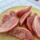 금강운수 노동조합 | 2025 야르~