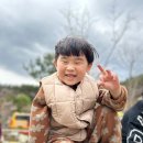 덕정 품태권도장 이미지