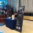 [뮤지컬 렘피카 후기] 1920년대 파리로 타임슬립! 남편과 코엑스 데이트 다녀왔어요 (NOL 단독판매...