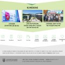 [고려대학교의료원] - 간 이식 수술법, 수술 후 관리 - 이미지