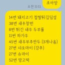 태영관광 | [전공연수] 홍콩 Poly U 9,10일차 | 원딤섬 | 전공연수 후기 | 경희대 호텔관광대학 전공연수 ✈️