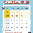 숲속댕토리애견유치원 이미지